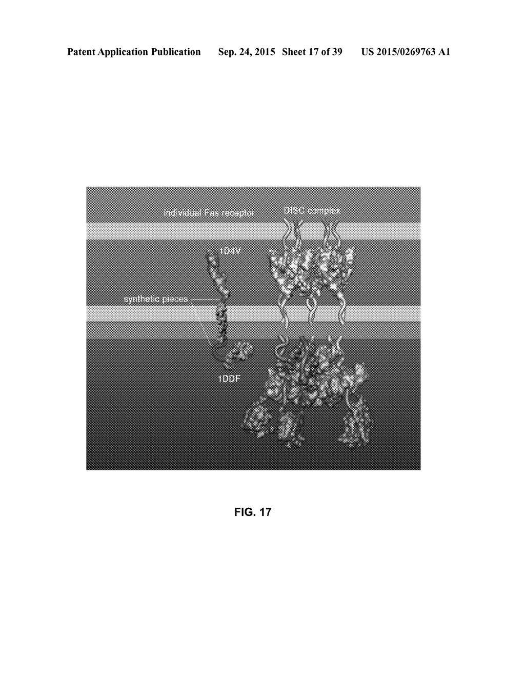 CURATED MODEL DATABASE - diagram, schematic, and image 18