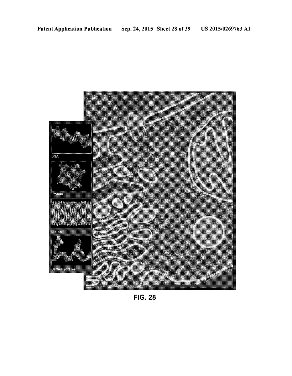 CURATED MODEL DATABASE - diagram, schematic, and image 29