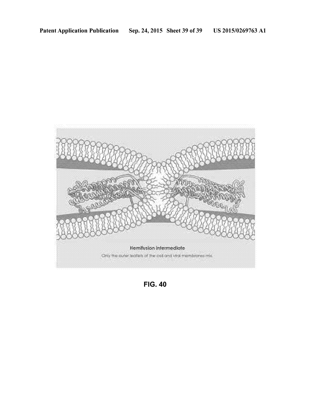 CURATED MODEL DATABASE - diagram, schematic, and image 40