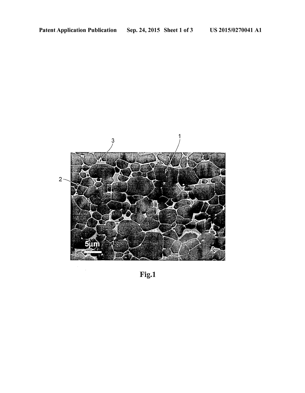 RARE EARTH BASED MAGNET - diagram, schematic, and image 02