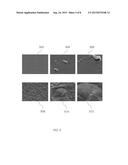 RARE-EARTH OXIDE BASED EROSION RESISTANT COATINGS FOR SEMICONDUCTOR     APPLICATION diagram and image