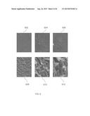 RARE-EARTH OXIDE BASED EROSION RESISTANT COATINGS FOR SEMICONDUCTOR     APPLICATION diagram and image