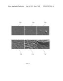 RARE-EARTH OXIDE BASED EROSION RESISTANT COATINGS FOR SEMICONDUCTOR     APPLICATION diagram and image