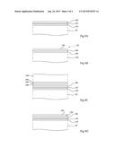 DISPLAY SCREEN HAVING ORGANIC LIGHT-EMITTING DIODES diagram and image