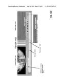 IMAGING SYSTEMS AND METHODS FOR IMMERSIVE SURVEILLANCE diagram and image