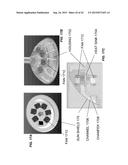 IMAGING SYSTEMS AND METHODS FOR IMMERSIVE SURVEILLANCE diagram and image