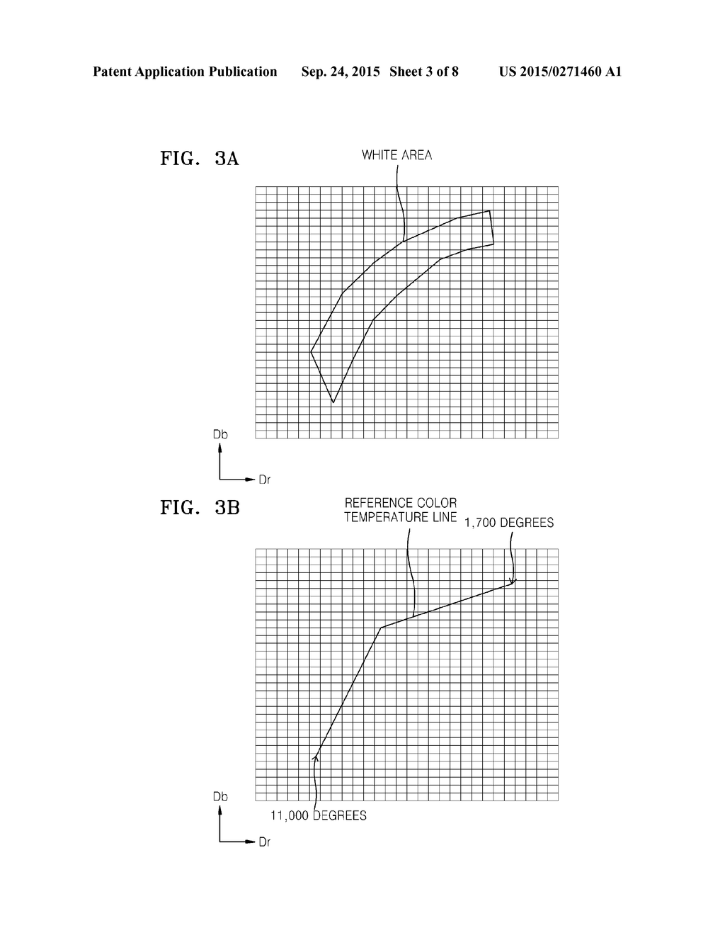 WHITE BALANCE CORRECTING APPARATUS AND WHITE BALANCE CORRECTING METHOD - diagram, schematic, and image 04