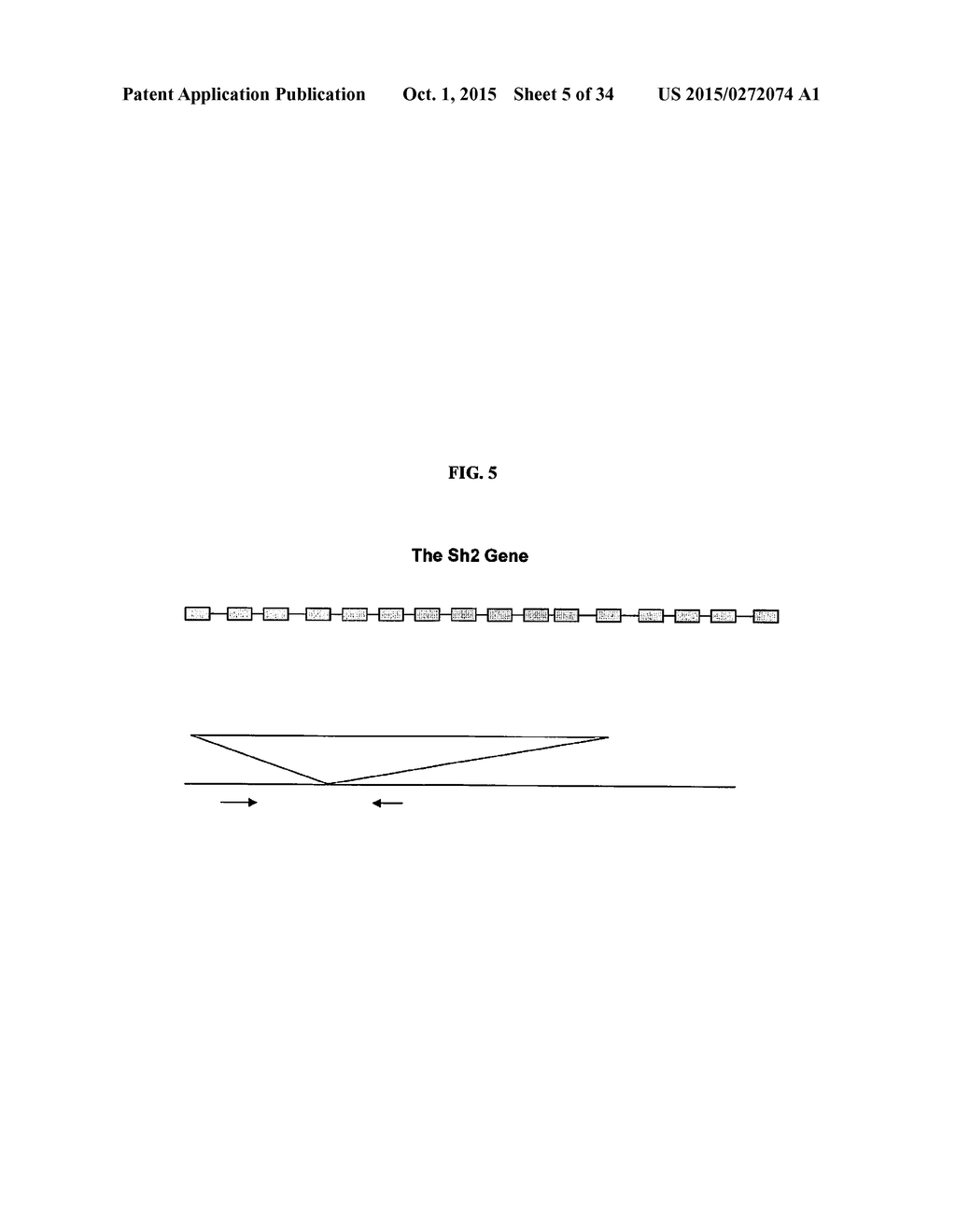 METHODS FOR ENHANCING THE PRODUCTION AND CONSUMER TRAITS OF PLANTS - diagram, schematic, and image 06