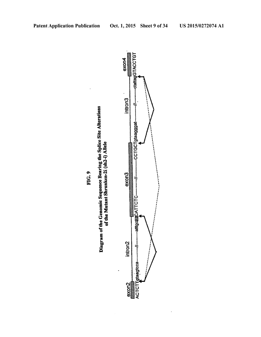 METHODS FOR ENHANCING THE PRODUCTION AND CONSUMER TRAITS OF PLANTS - diagram, schematic, and image 10