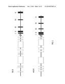 HUMANIZED IL-6 AND IL-6 RECEPTOR diagram and image