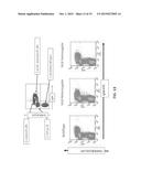 HUMANIZED IL-6 AND IL-6 RECEPTOR diagram and image