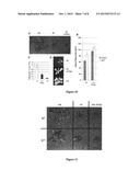 Compounds for Alleviating Phosphate Starvation Symptoms in Plants diagram and image