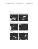 SELECTIVE TERMITE REPELLENT COMPOSITION USING NATURAL PLANT-BASED     MATERIALS diagram and image