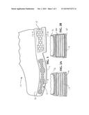 FOOTWEAR CUSHIONING SYSTEM diagram and image