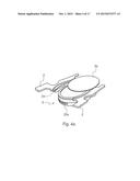 DEVICE AND PROCESS FOR DISPENSING BEVERAGES FROM CAPSULES diagram and image