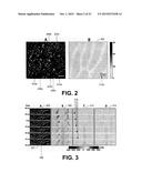 IMAGING RETINAL INTRINSIC OPTICAL SIGNALS diagram and image