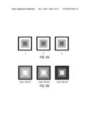 ESTIMATION OF INCOHERENT MOTION PARAMETERS FROM DIFFUSION-WEIGHTED MRI     DATA diagram and image