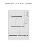 RADIOPAQUE MARKING IMPLEMENT diagram and image