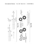 LIPID VESICLE COMPOSITIONS AND METHODS OF USE diagram and image