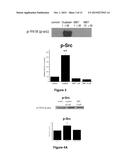 Na/K-ATPase Ligands, Ouabain Antagonists, Assays and Uses Thereof diagram and image