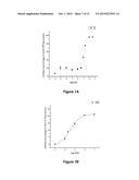 Na/K-ATPase Ligands, Ouabain Antagonists, Assays and Uses Thereof diagram and image