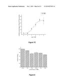 Na/K-ATPase Ligands, Ouabain Antagonists, Assays and Uses Thereof diagram and image