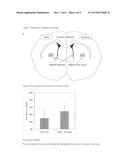 COMPOSITION COMPRISING CELL AND BIOCOMPATIBLE POLYMER diagram and image