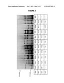 STAPHYLOCOCCUS AUREUS SDRE CNAB DOMAIN AND ITS USE FOR VACCINATION diagram and image