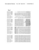 PILUS PROTEINS AND COMPOSITIONS diagram and image