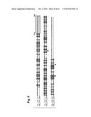 PILUS PROTEINS AND COMPOSITIONS diagram and image