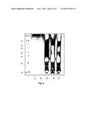 PRODUCTION OF RECOMBINANT VACCINE IN E.COLI BY ENZYMATIC CONJUGATION diagram and image