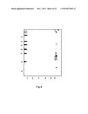 PRODUCTION OF RECOMBINANT VACCINE IN E.COLI BY ENZYMATIC CONJUGATION diagram and image