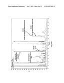 PRODUCTION OF RECOMBINANT VACCINE IN E.COLI BY ENZYMATIC CONJUGATION diagram and image