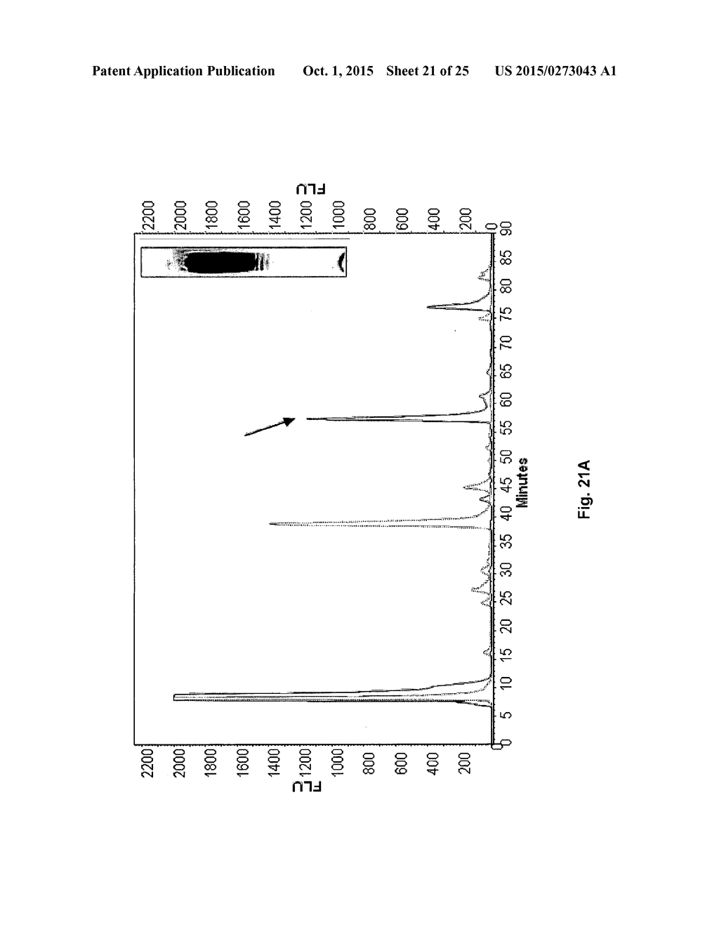 PRODUCTION OF RECOMBINANT VACCINE IN E.COLI BY ENZYMATIC CONJUGATION - diagram, schematic, and image 22