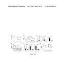 Modulation of CCR10 Signals for Treatment of Skin and Intestinal     Inflammatory Diseases and Infection diagram and image