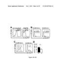 Modulation of CCR10 Signals for Treatment of Skin and Intestinal     Inflammatory Diseases and Infection diagram and image