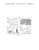 Modulation of CCR10 Signals for Treatment of Skin and Intestinal     Inflammatory Diseases and Infection diagram and image