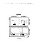 Modulation of CCR10 Signals for Treatment of Skin and Intestinal     Inflammatory Diseases and Infection diagram and image