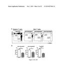 Modulation of CCR10 Signals for Treatment of Skin and Intestinal     Inflammatory Diseases and Infection diagram and image