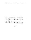 Modulation of CCR10 Signals for Treatment of Skin and Intestinal     Inflammatory Diseases and Infection diagram and image