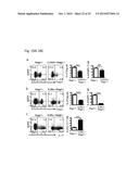 Modulation of CCR10 Signals for Treatment of Skin and Intestinal     Inflammatory Diseases and Infection diagram and image