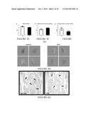 METHODS AND COMPOSITIONS FOR EXPANDING HEMATOPOIETIC STEM AND PROGENITOR     CELLS diagram and image