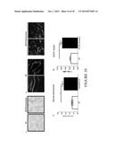 METHODS AND COMPOSITIONS FOR EXPANDING HEMATOPOIETIC STEM AND PROGENITOR     CELLS diagram and image