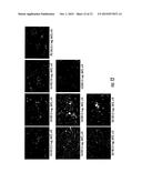 TRIAZINE CATIONIC POLYMERS AND METHODS OF USE THEREOF diagram and image