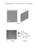 SP1 POLYPEPTIDES, MODIFIED SP1 POLYPEPTIDES AND USES THEREOF diagram and image