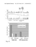 SP1 POLYPEPTIDES, MODIFIED SP1 POLYPEPTIDES AND USES THEREOF diagram and image