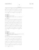 SP1 POLYPEPTIDES, MODIFIED SP1 POLYPEPTIDES AND USES THEREOF diagram and image