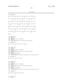 SP1 POLYPEPTIDES, MODIFIED SP1 POLYPEPTIDES AND USES THEREOF diagram and image