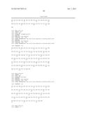 SP1 POLYPEPTIDES, MODIFIED SP1 POLYPEPTIDES AND USES THEREOF diagram and image