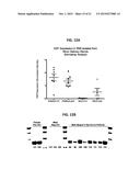 METHODS FOR THE DIAGNOSIS AND TREATMENT OF SJOGREN S SYNDROME diagram and image